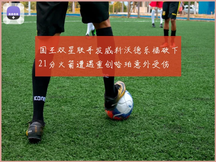 国王双星联手发威科沃德乐福砍下21分火箭遭遇重创哈珀意外受伤